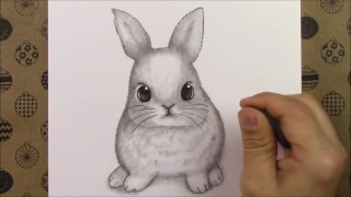 How to draw cute rabbit pencil drawing video