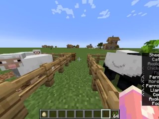 How To Have Sex In Minecraft Without Mods