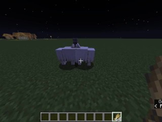 How to have Sex in Minecraft without Mods