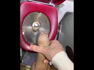 I Cum in the Bathroom in the Train (risky)