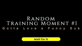 Moet een grappige sub Love - Random Femdom Training Moment 1