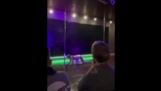 F*ggot Egzotyczny występ na słupie