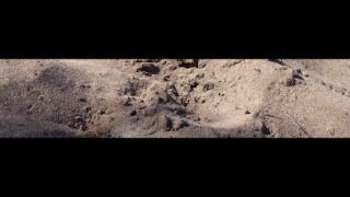 砂漠の屋外の真ん中のツアーガイドは、彼女が公共のオープンプッシーPT2で砂の上でおしっこをしている間に見られます