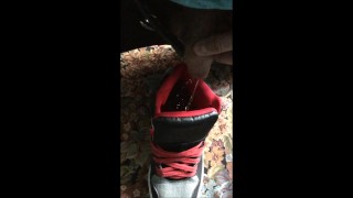 Pissing in shoe