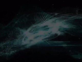 Sniffing joi - foot fetish game