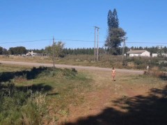 More naked adventures