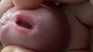 Богемная Королева Диксодии Обложка By My Dick