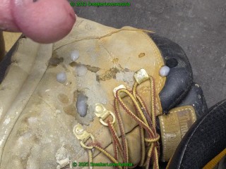 2 камшота на грязную рабочую обувь тимберленда