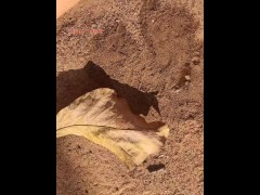 Girl Pissing on a large leaf that has fallen from a tree to the ground in Nature Park