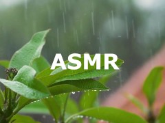 АСМР | СЕКСУАЛЬНЫЙ МУЖСКИЕ СТОНЫ ДЛЯ АЛЁНЫ КОНЧИШЬ ЧЕРЕЗ 5 МИНУТ | АУДИО - мелкий и легкий дождь - Screenshot 2 of 16 - Solo Male Dirty Talk