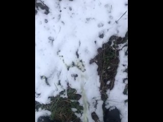 Plassen in De Snow