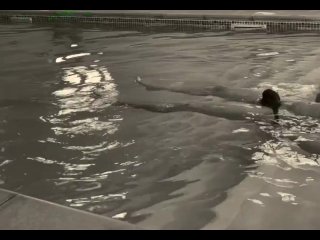 play time in the pool
