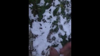 Wanking in the Snow