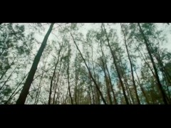 Galing mo cara 13/16