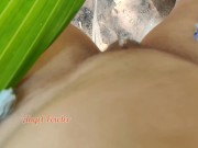 Preview 4 of Piss on small Palm Tree (I made a Tropical Golden Shower)