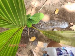 Piss on small Palm Tree (I made a Tropical Golden Shower)