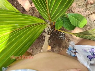 Pis Op Kleine Palmboom (ik Heb Een Tropische Gouden Douche Gemaakt)