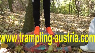 german proll trample