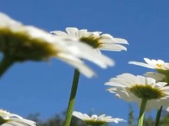 long mark fanonly ph 13-03 10:59