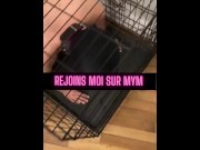 Preview 2 of A mistress puts her dog in a cage and humiliates him