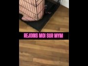 Preview 3 of A mistress puts her dog in a cage and humiliates him