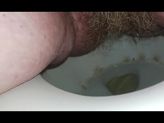 Hairy Pussy Toilet Piss 3/14/2023
