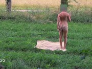 Preview 4 of Tanning myself Entirely naked in Public (caught)
