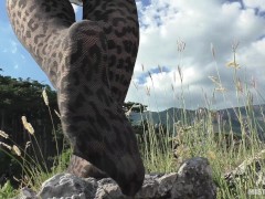 Nylon Goddess Paws Tease On A Summer Sunny Day