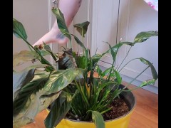 Bathroom occupied & plant needed watering - Screenshot 1 of 16 - Pee