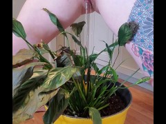 Bathroom occupied & plant needed watering - Screenshot 10 of 16 - Need To Pee