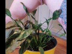 Bathroom occupied & plant needed watering - Screenshot 11 of 16 - Pee