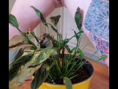 Bathroom occupied & plant needed watering - Screenshot 14 of 16 - Pissing