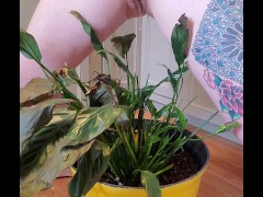 Bathroom occupied & plant needed watering - Screenshot 15 of 16 - Need To Pee