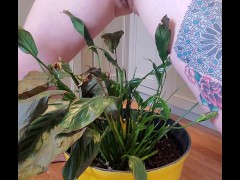 Bathroom occupied & plant needed watering - Screenshot 16 of 16 - Pee