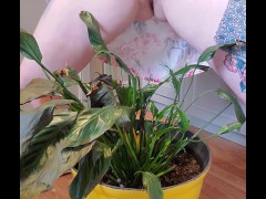 Bathroom occupied & plant needed watering - Screenshot 2 of 16 - Peeing