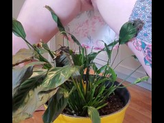 Bathroom occupied & plant needed watering - Screenshot 4 of 16 - Pissing