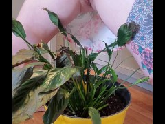 Bathroom occupied & plant needed watering - Screenshot 6 of 16 - Pee