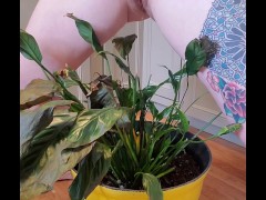 Bathroom occupied & plant needed watering - Screenshot 8 of 16 - Piss