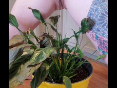Bathroom occupied & plant needed watering - Screenshot 9 of 16 - Pissing