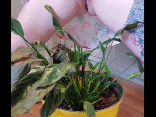 Bathroom occupied & plant needed watering