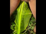 Exhibitionist Girl Pissing in Jungle on Banana Tree: POV Tik Tok