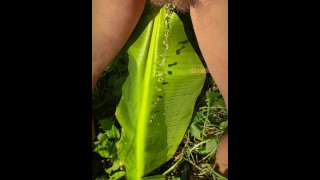 Chica exhibicionista meando en la selva en un árbol de plátano: POV Tik Tok