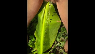 Exhibitionist Girl Pissing in Jungle on Banana Tree: POV Tik Tok