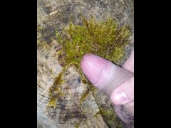 Endlich wieder draußen Wichsen