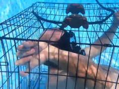 Padlocked - Screenshot 8 of 16 - Fetish