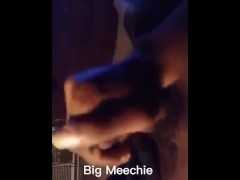 Big Meechie Stroke Fest