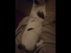 CATINPT2