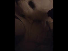 CATINPT2 - Screenshot 7 of 16 - Petting Cats