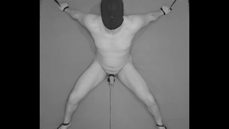 1 HOUR Testicles Electrostimulation Procedure