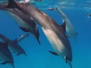 test video 2303 1846